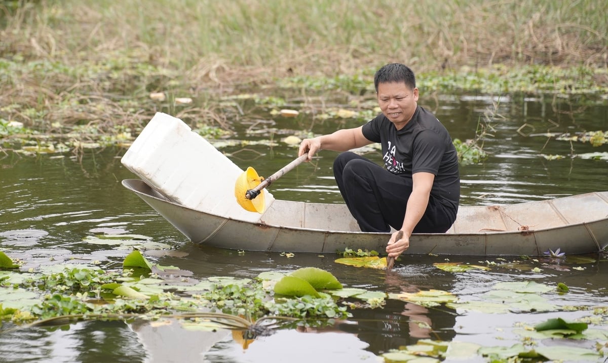Nuôi cá trê trong bể- Nhàn mà hiệu quả